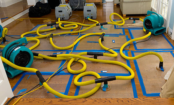 Professional Crawl Space Water Removal technician working in Saratoga, IN